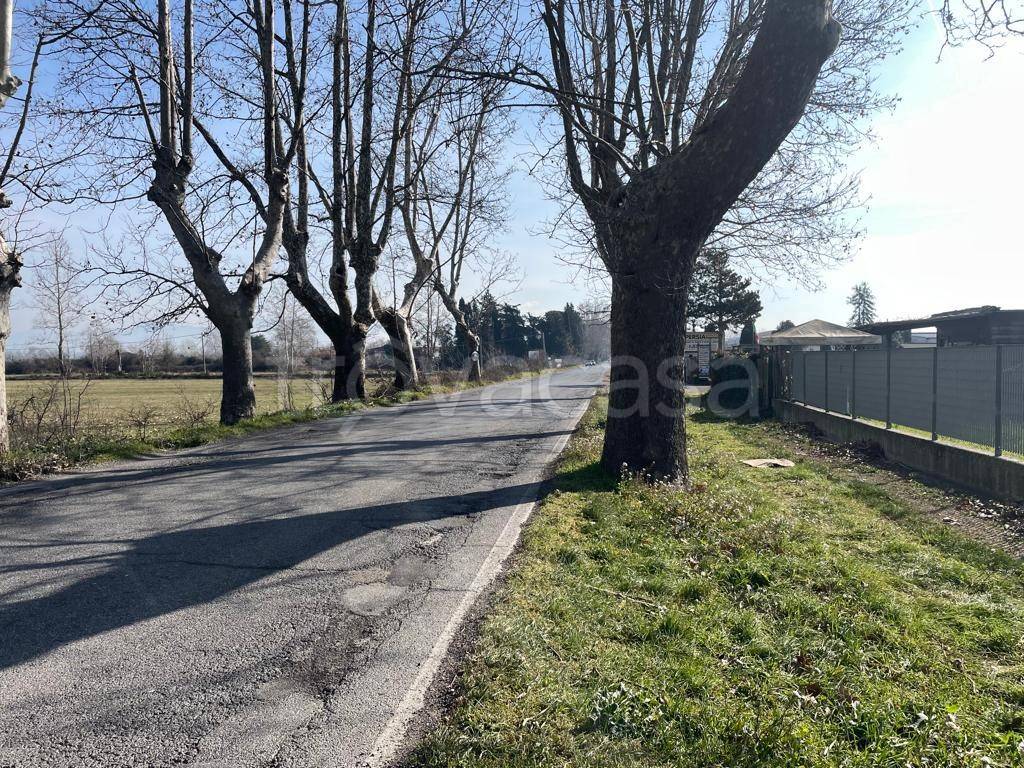 immagine annuncio 3 di 14