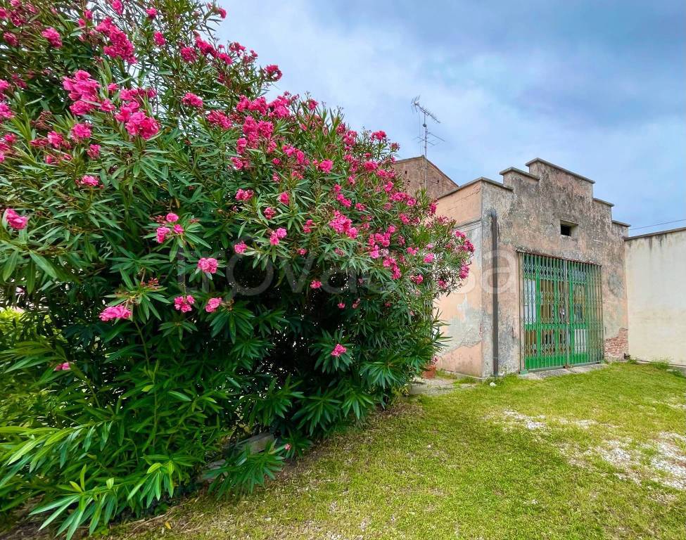 Villa a Schiera in in vendita da privato a Stanghella via Santa Caterina, 22