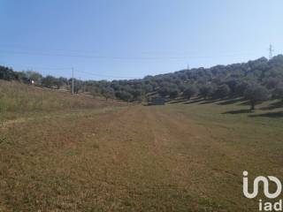 Terreno residenziale in vendita a moscufo frazione villa sibi