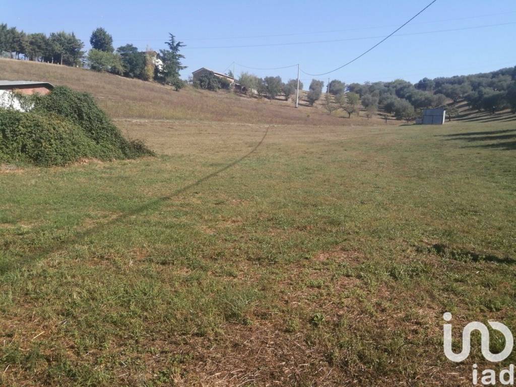 immagine annuncio 4 di 8