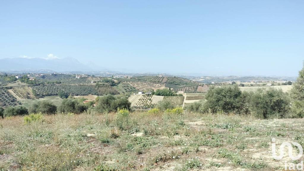 immagine annuncio 7 di 8