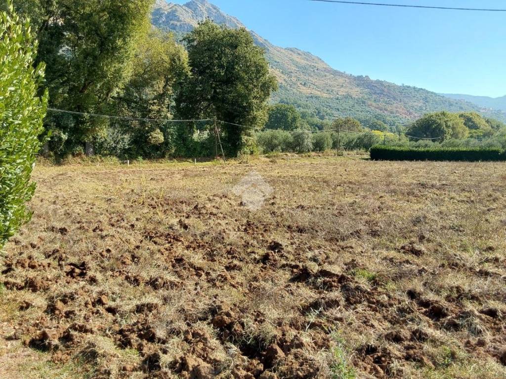 immagine annuncio 6 di 12
