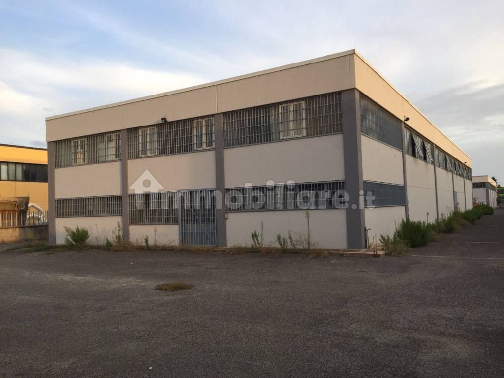 immagine annuncio 1 di 8