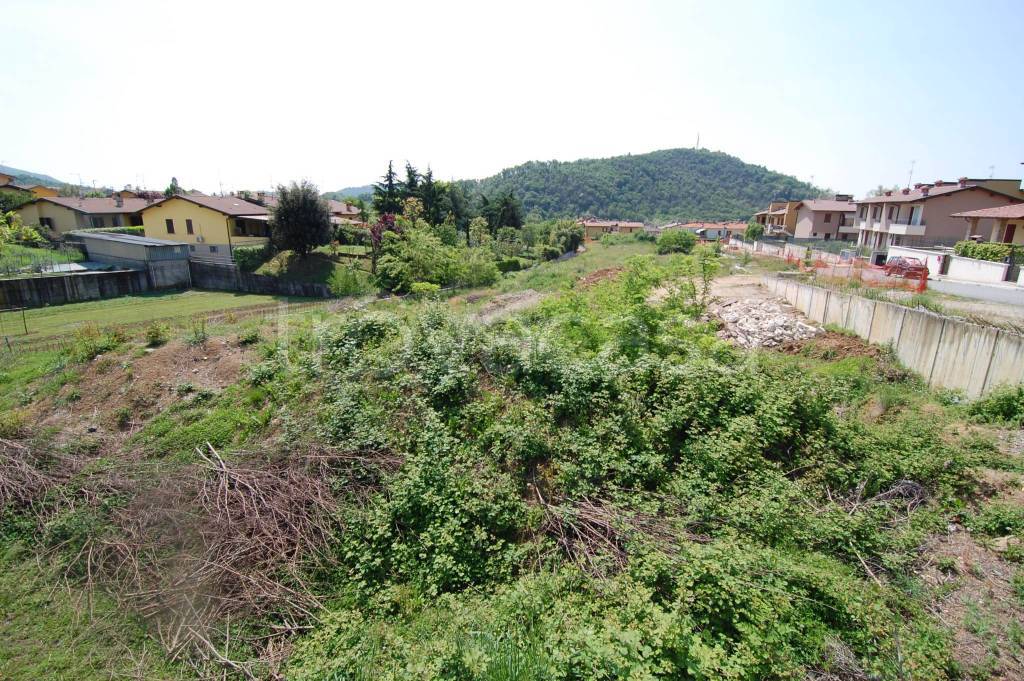 immagine annuncio 5 di 11
