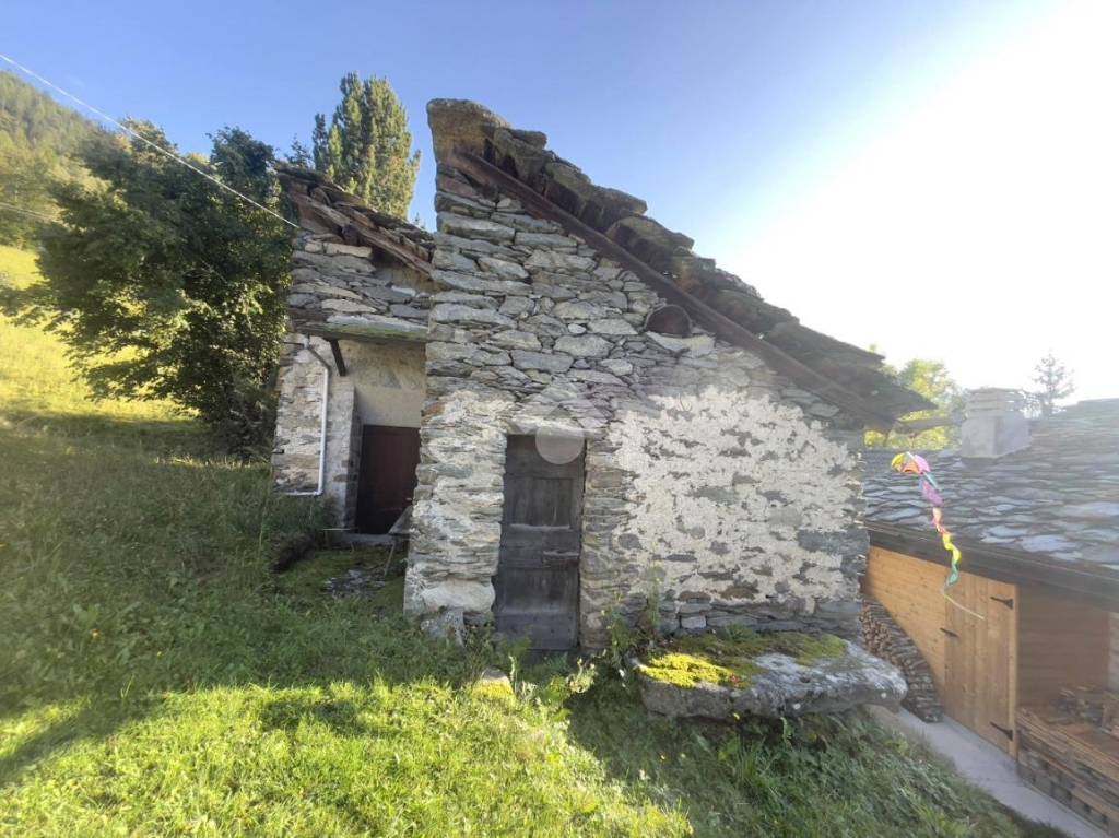 immagine annuncio 1 di 13