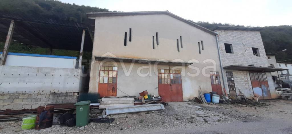 immagine annuncio 11 di 14