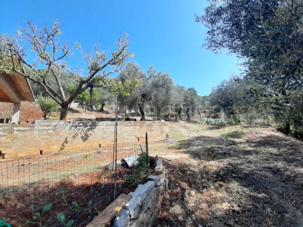 immagine annuncio 2 di 4