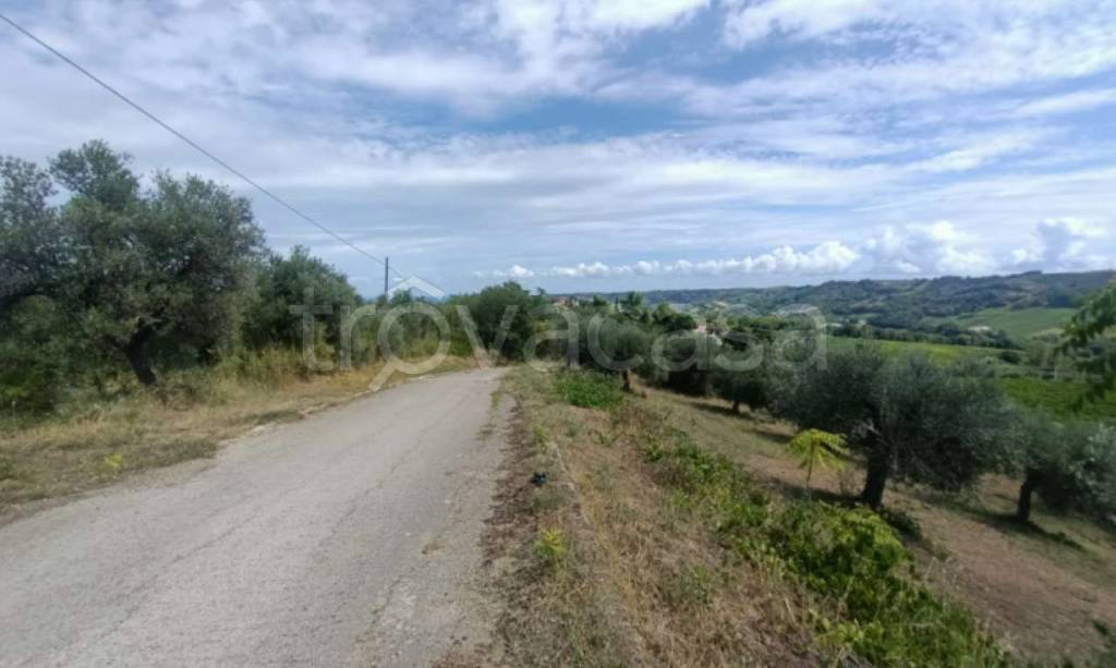 immagine annuncio 2 di 6