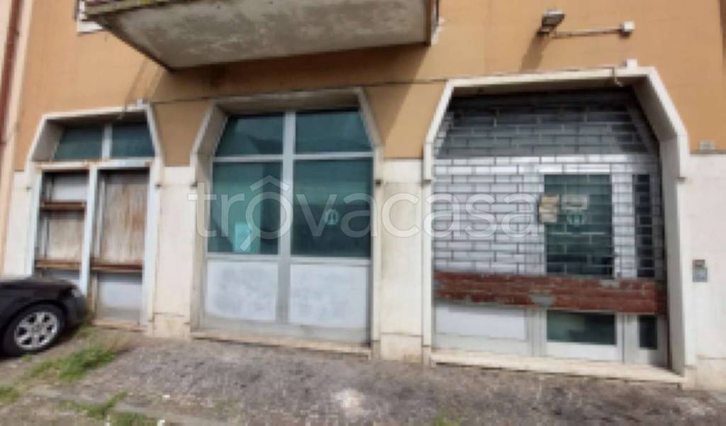 immagine annuncio 2 di 6