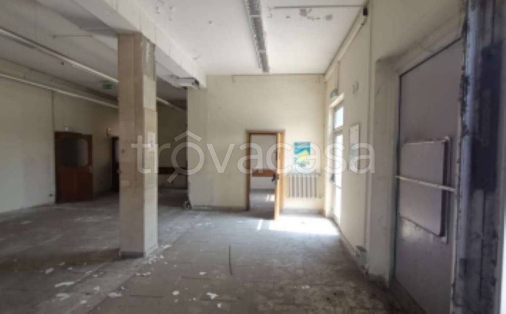immagine annuncio 3 di 6