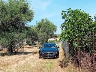 Terreno agricolo in affitto a bari via salvatore matarrese