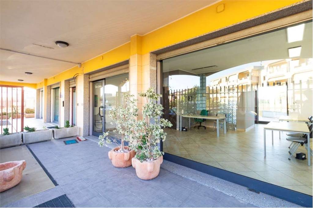 immagine annuncio 2 di 13