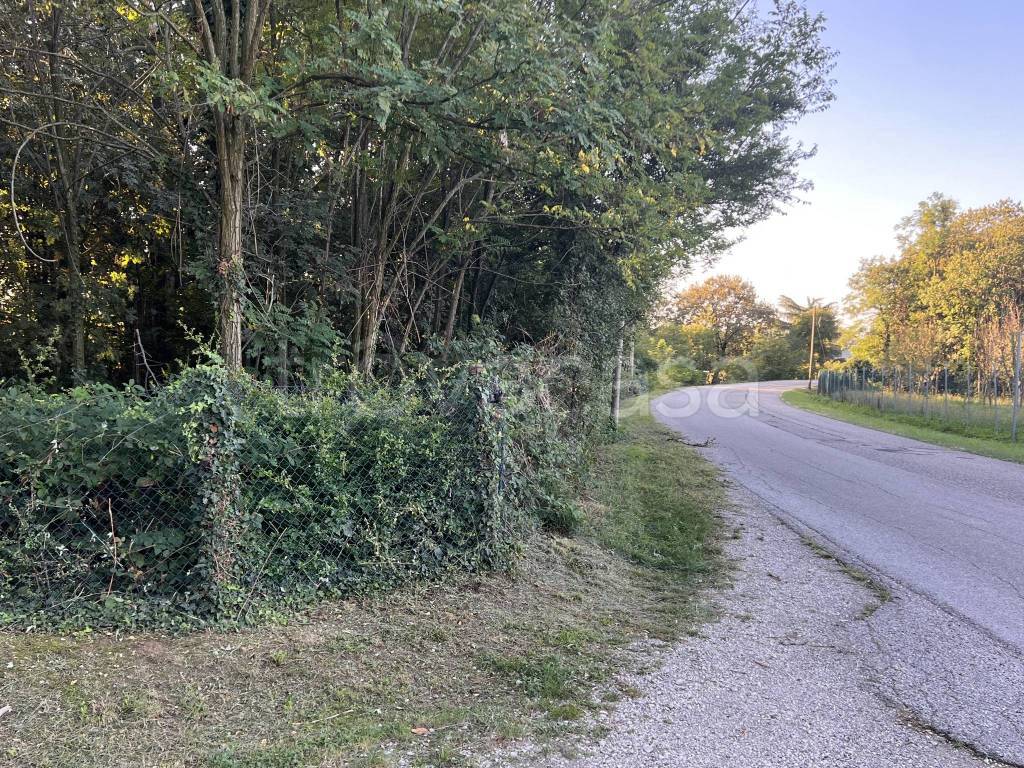immagine annuncio 6 di 9