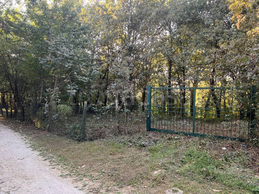 immagine annuncio 7 di 9