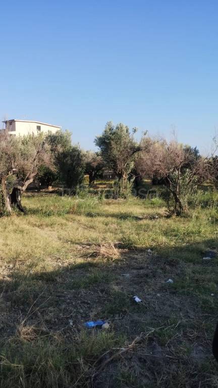 Terreno Residenziale in vendita a Catanzaro via della Solidarietà