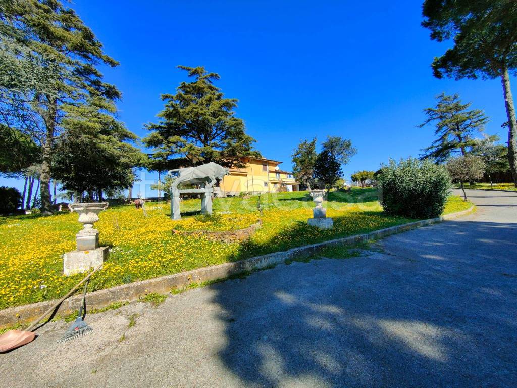 Villa in vendita ad Albano Laziale via della Tenutella