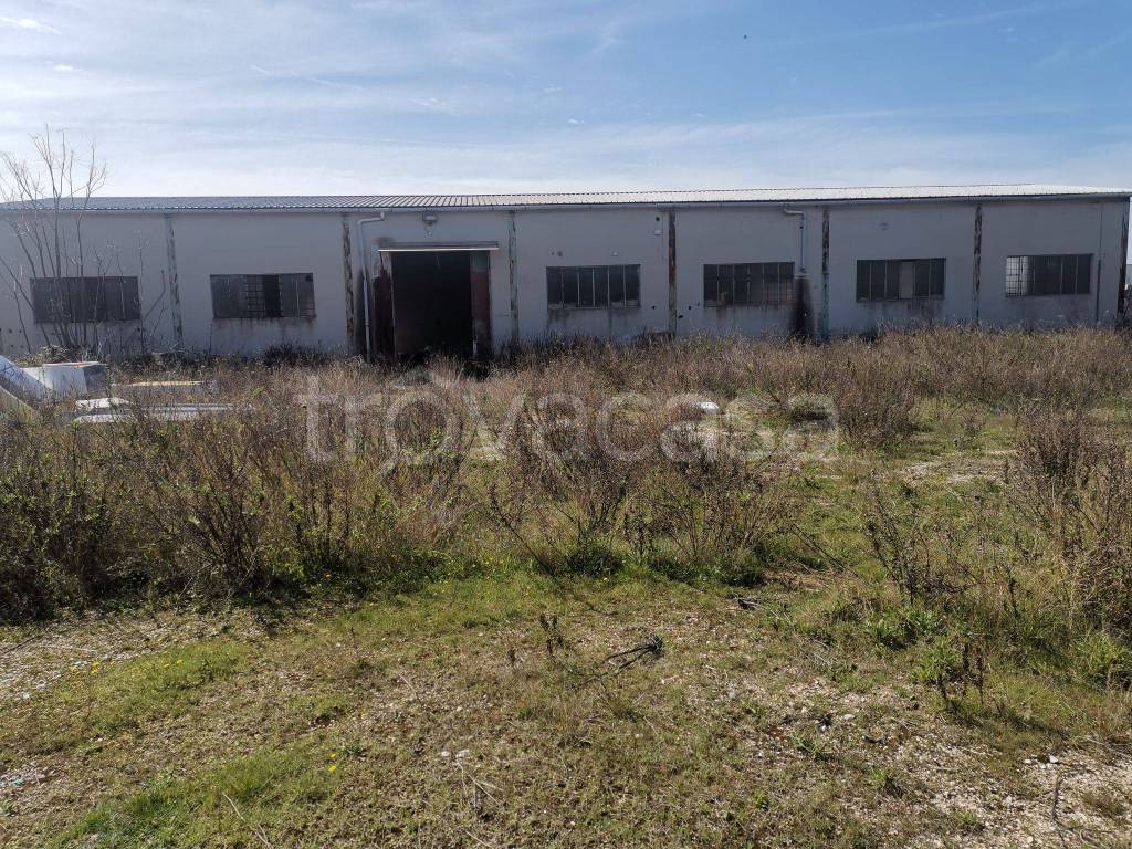 Capannone Industriale in in vendita da privato a Bari via San Giorgio, 34