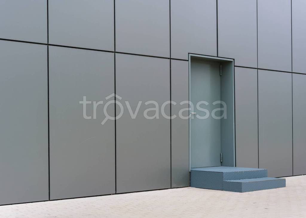 immagine annuncio 5 di 11