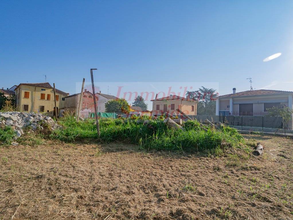 immagine annuncio 4 di 6