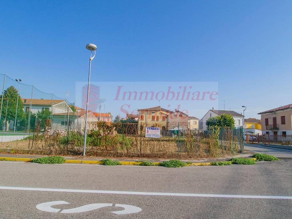 immagine annuncio 5 di 6