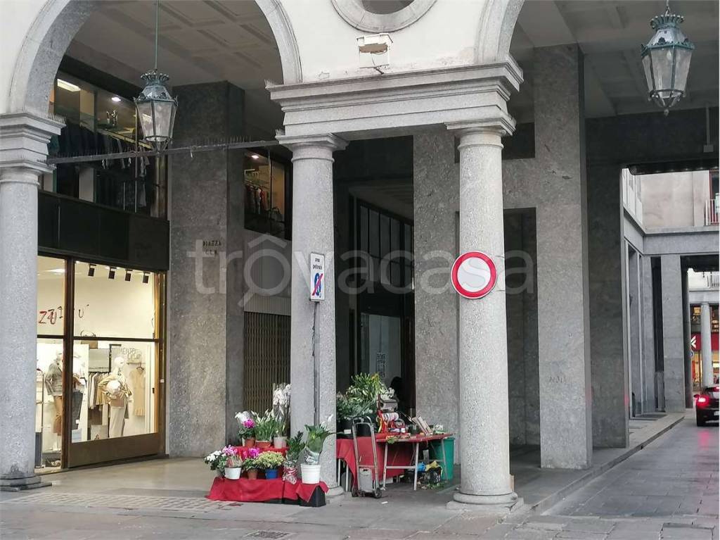 Piante e Fiori in vendita a Torino piazza cln , 235