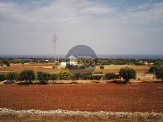 Terreno agricolo in vendita a polignano a mare strada comunale fusella