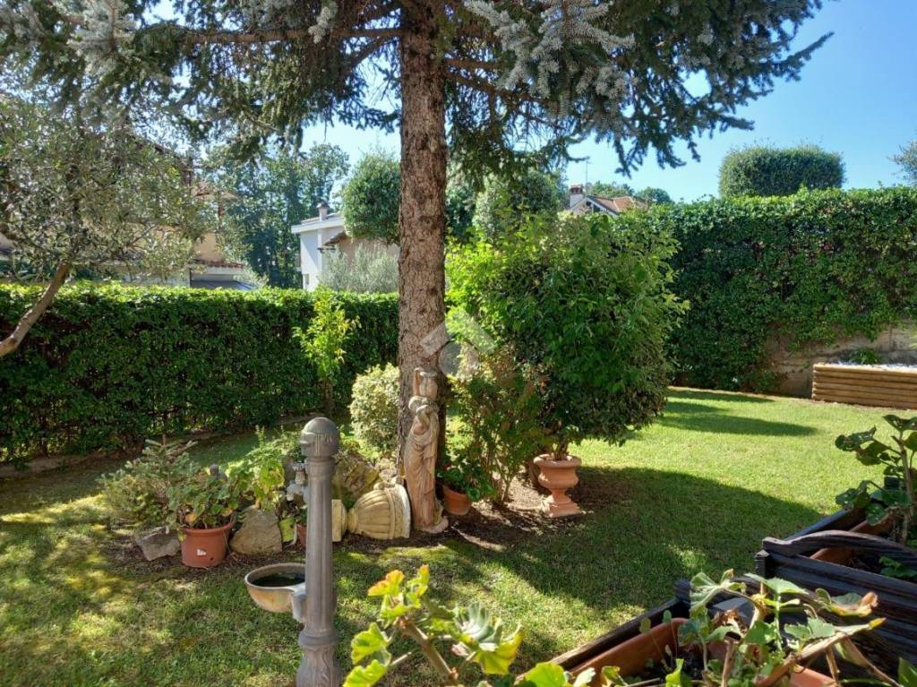 immagine annuncio 5 di 15