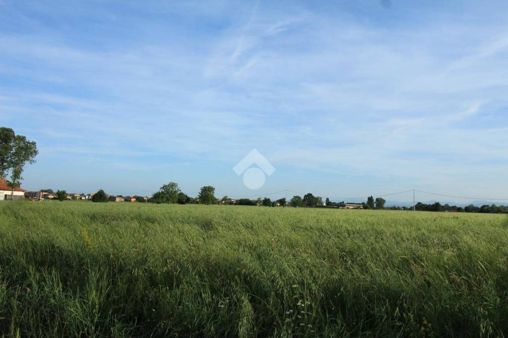 Terreno Agricolo in vendita a Sorbolo Mezzani via della Mina, 43
