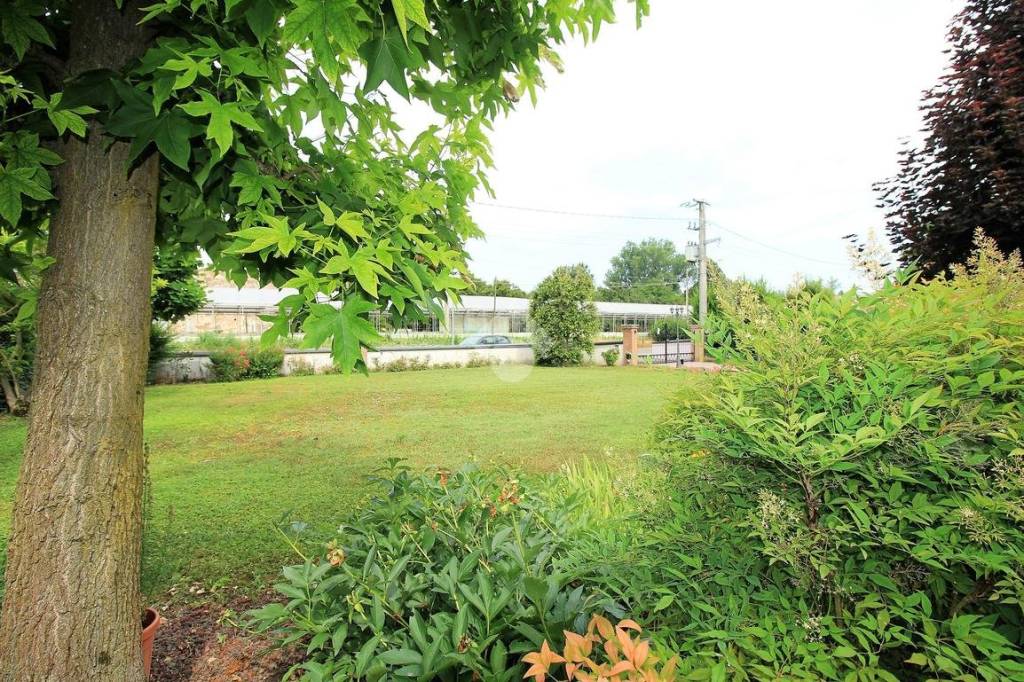 immagine annuncio 3 di 8