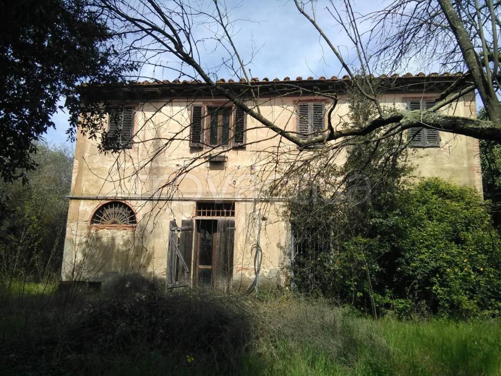 immagine annuncio 2 di 7