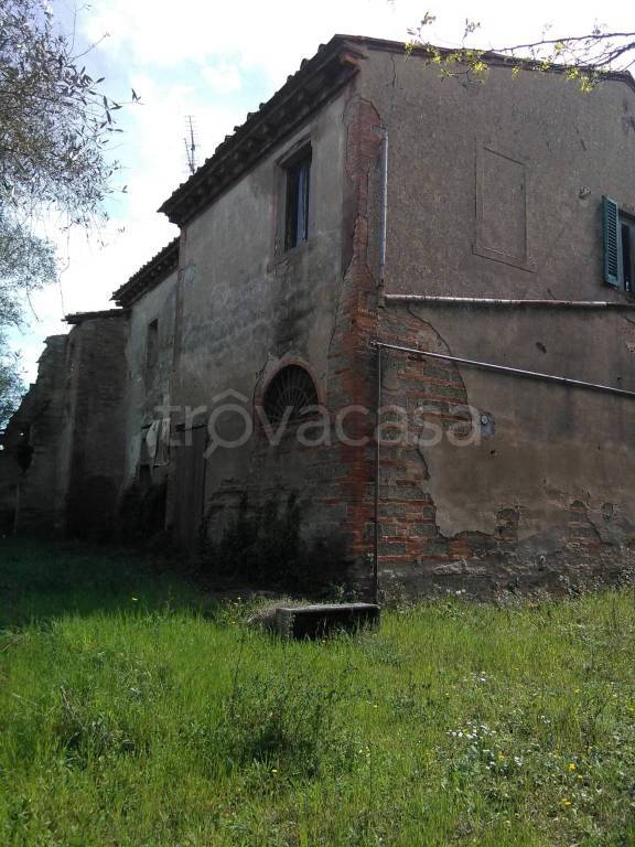 immagine annuncio 5 di 7