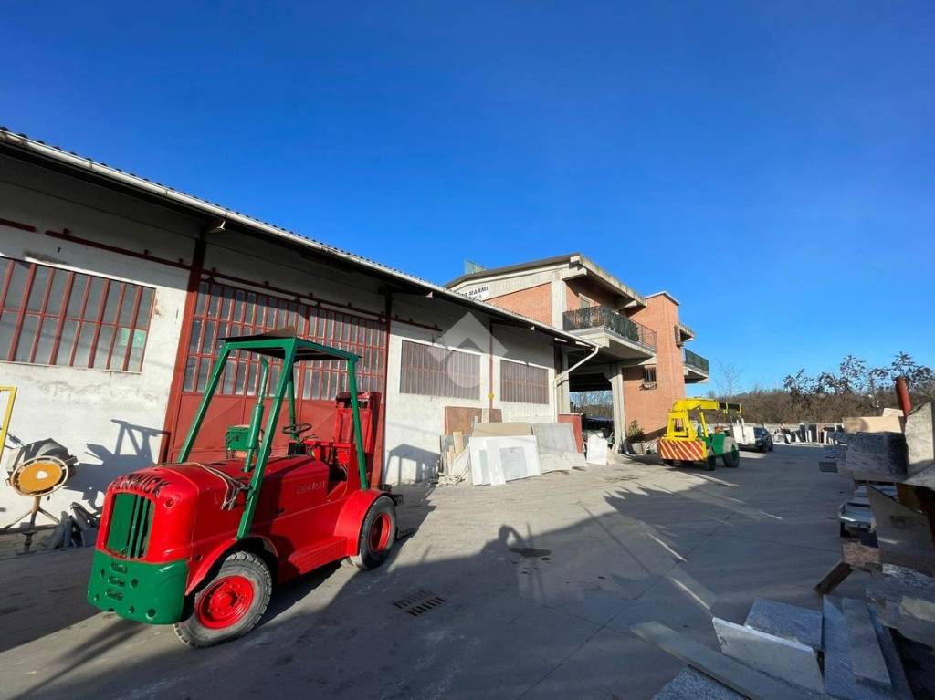 immagine annuncio 3 di 15