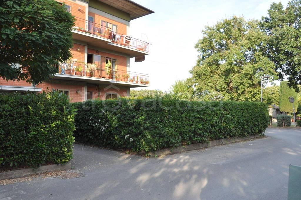 Appartamento in in vendita da privato a Sarteano via Adige, 31