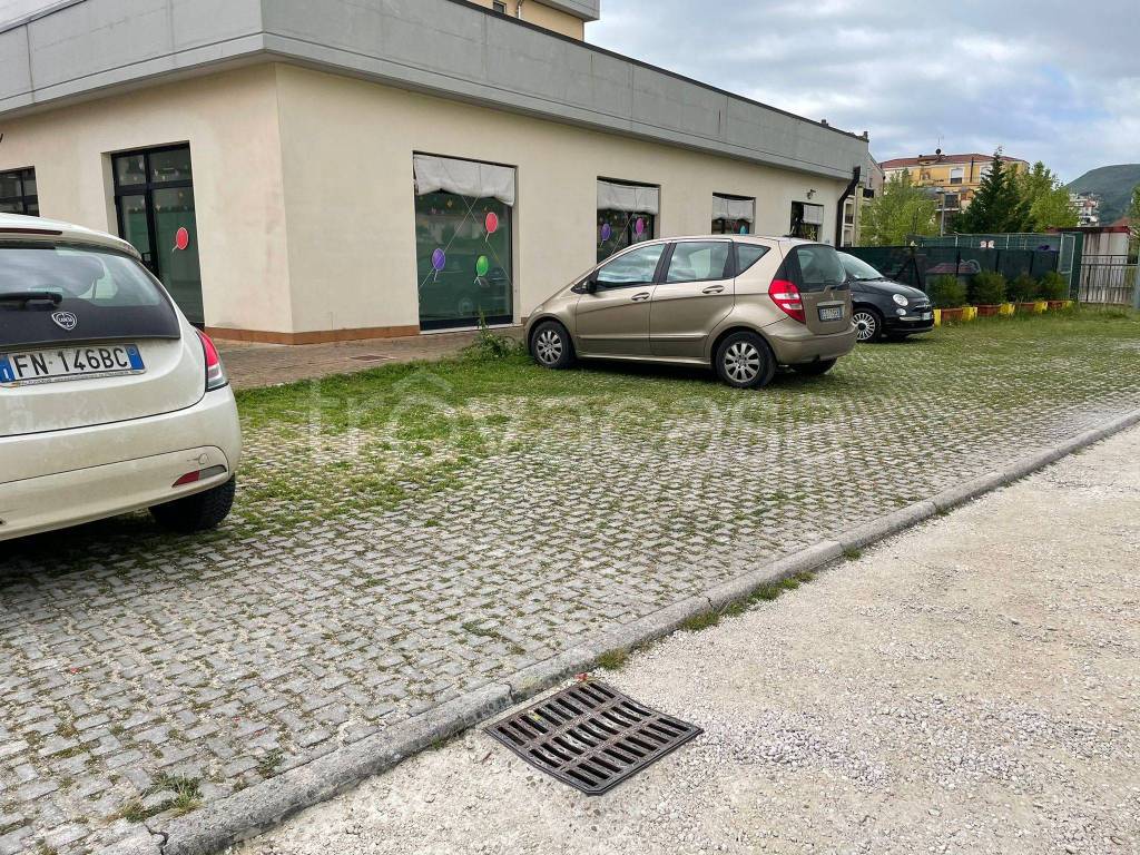 immagine annuncio 5 di 12