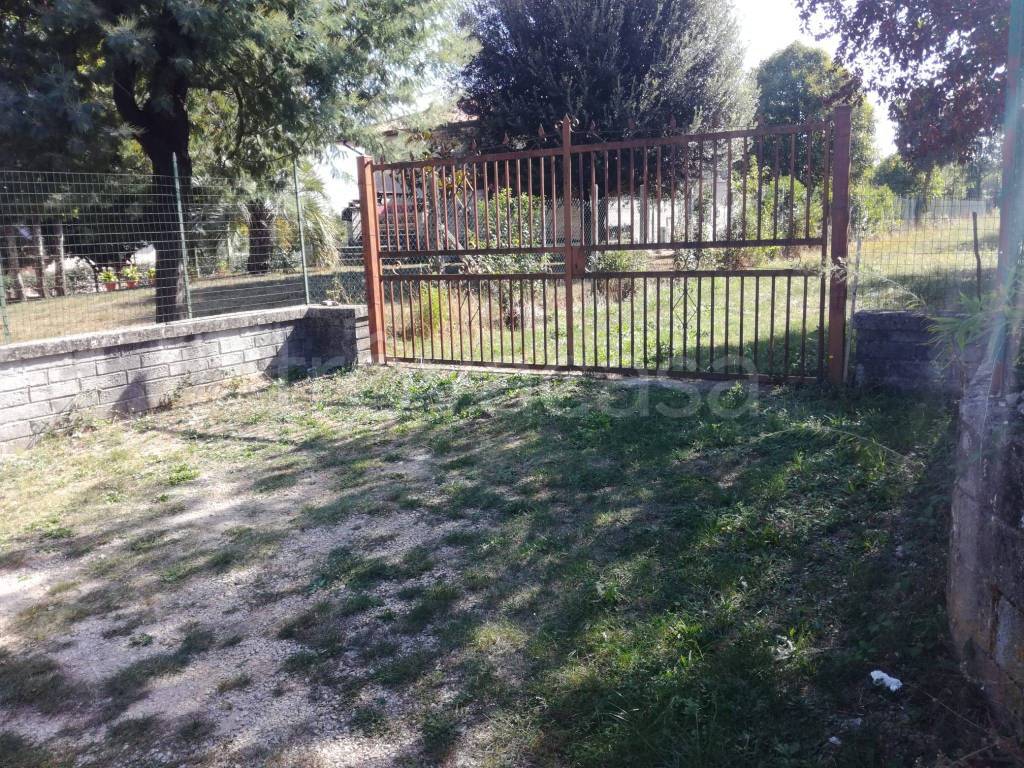 immagine annuncio 3 di 12