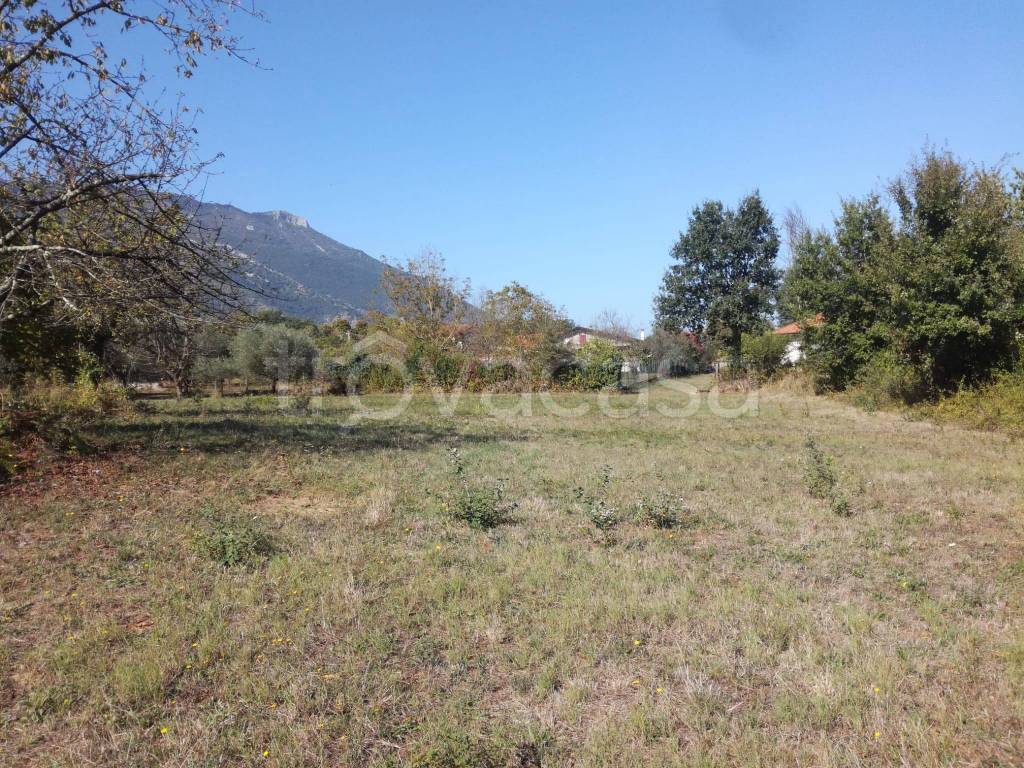 immagine annuncio 5 di 12