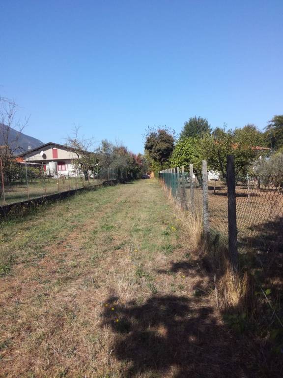 immagine annuncio 10 di 12