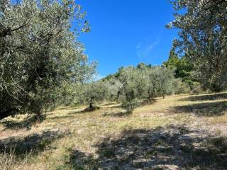 Terreno agricolo in vendita ad assisi via s.benedetto