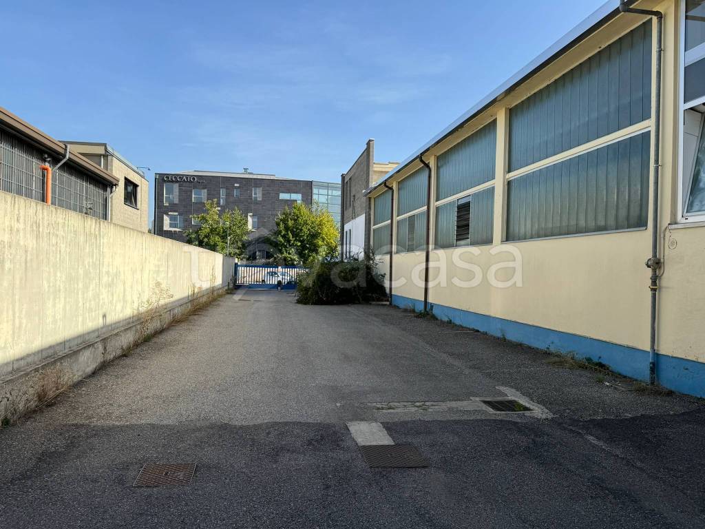immagine annuncio 5 di 15