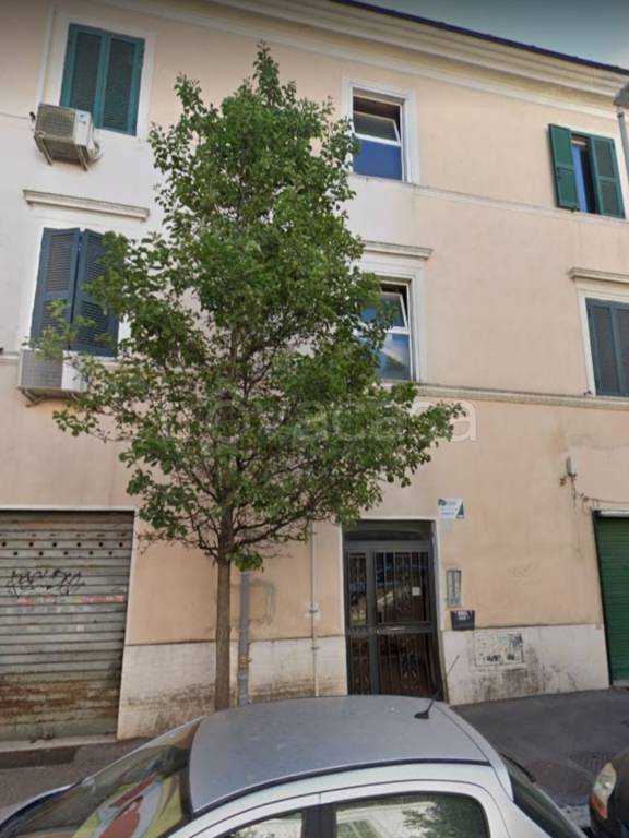 Appartamento in in vendita da privato a Roma via dei Quintili, 24