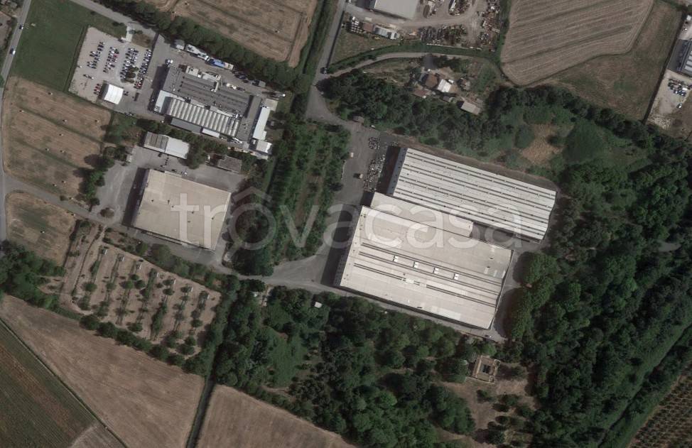 Capannone Industriale in in affitto da privato a Pomezia via della Solfarata