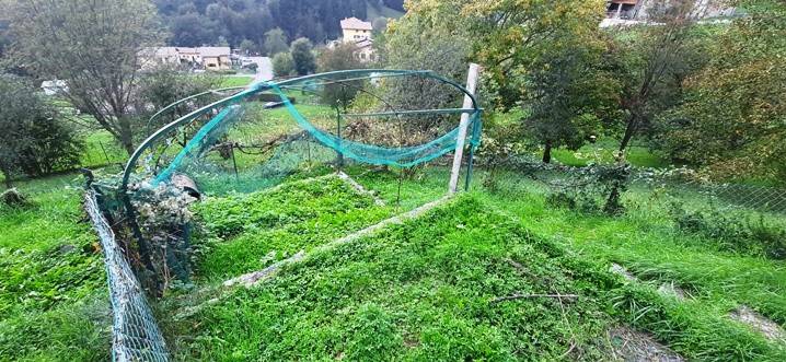 immagine annuncio 7 di 12