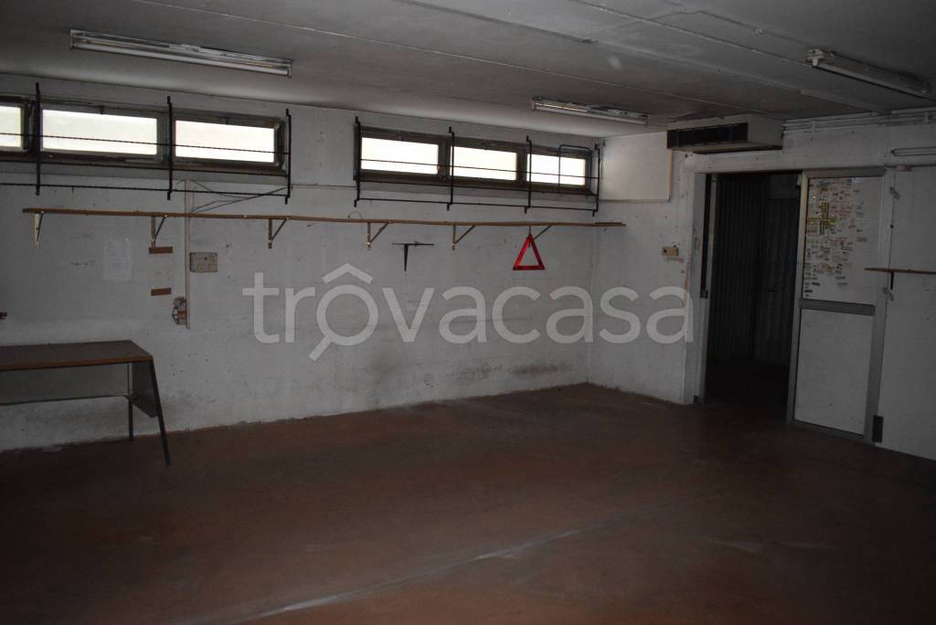 immagine annuncio 2 di 12