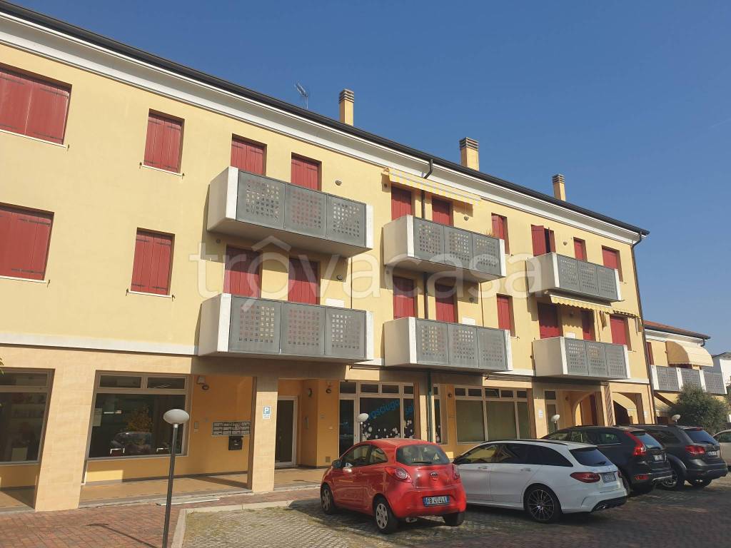 Appartamento in vendita a Curtarolo via Monte Ortigara