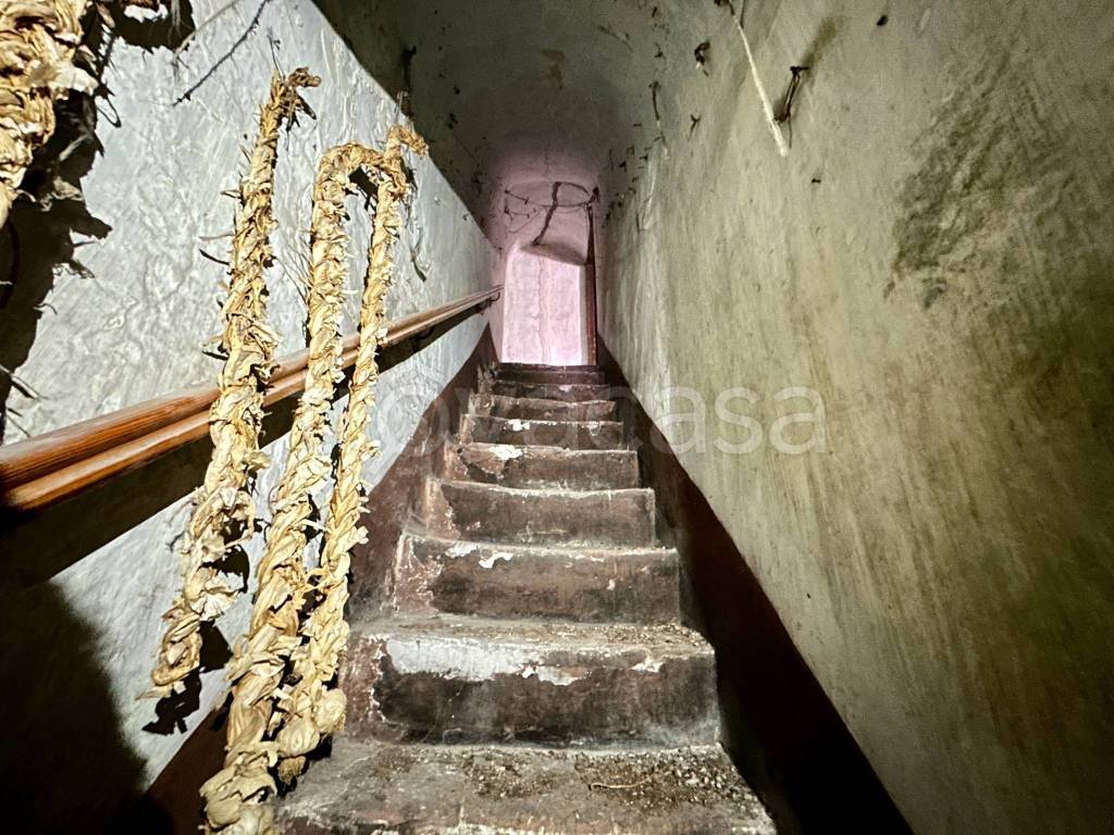 immagine annuncio 4 di 8