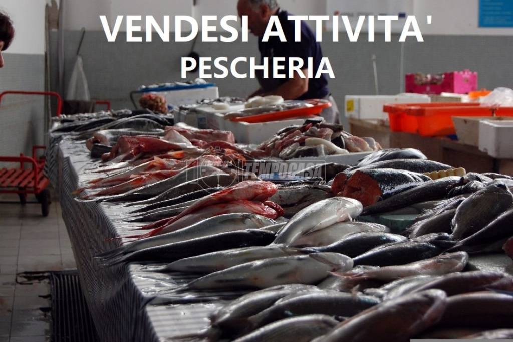 Pescheria in vendita ad Ancona cristoforo colombo