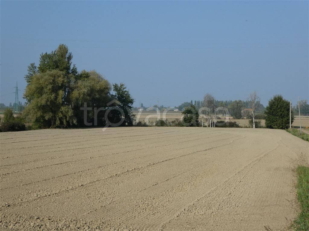 Terreno Agricolo in vendita a Ferrara via Bassa