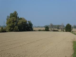 Terreno agricolo in vendita a ferrara via bassa