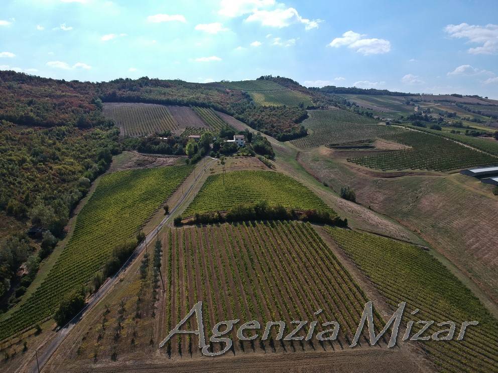 Terreno Agricolo in vendita a Imola via Ponticelli Pieve, 3G