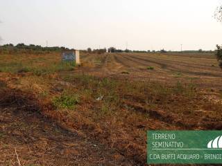 Terreno agricolo in vendita a brindisi strada provinciale acquaro